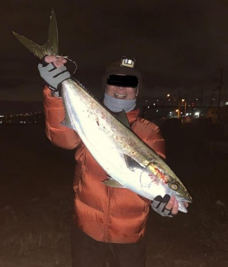 オカッパリにてブリ83cm